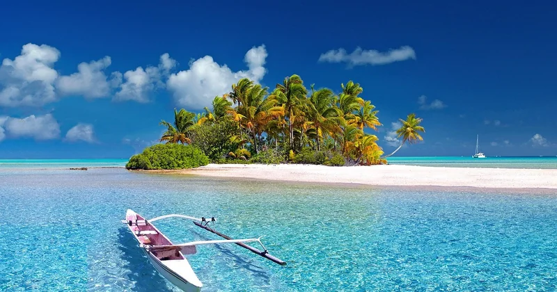 Quand partir : la saison des baleines à Tahiti et en Polynésie