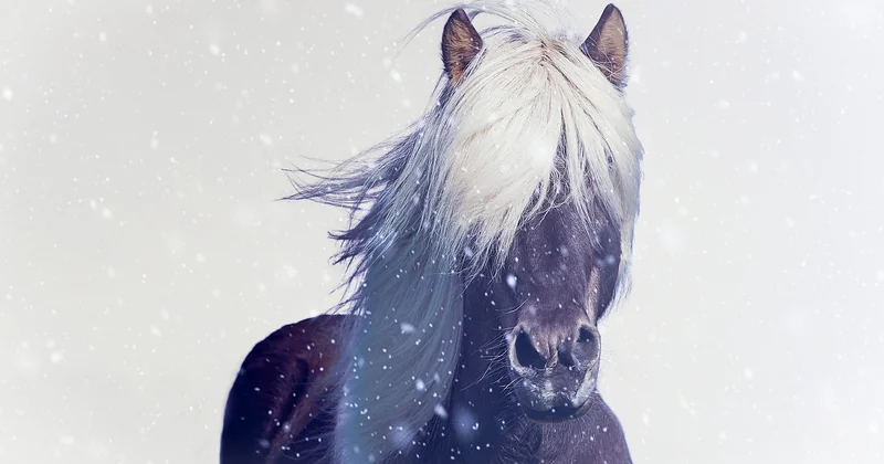 Ce que les conditions hivernales imposent, et que personne ne vous dit franchement