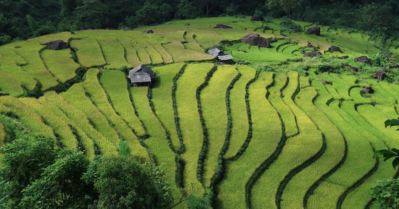 Quelle est la meilleure période pour visiter le Vietnam ?