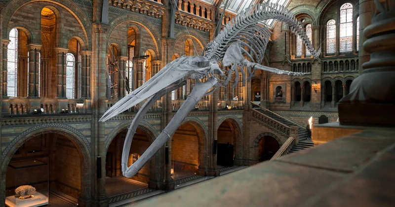 Les musées thématiques : quand Berlin pousse l'obsession à son paroxysme