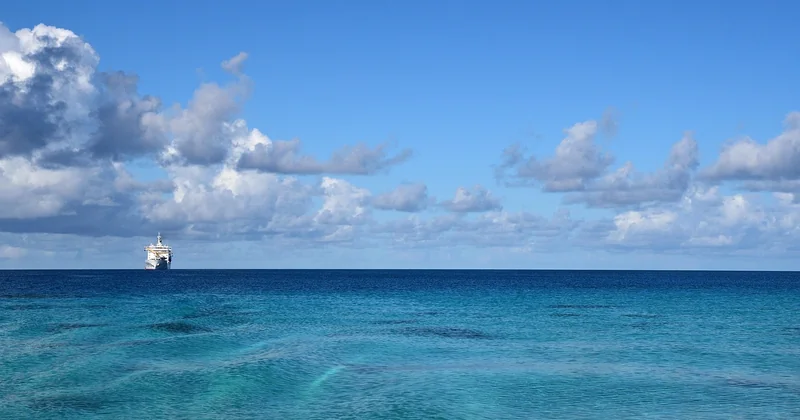 Où être sûr de voir des baleines ?
